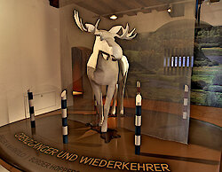 Elch - Museum in Bayern